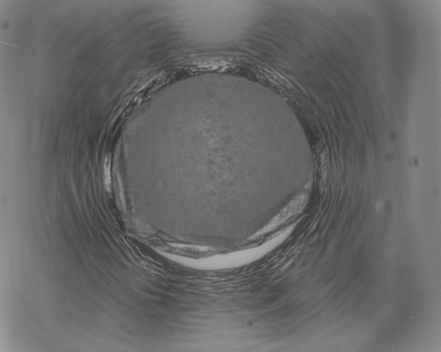 X0000068771394200605191636