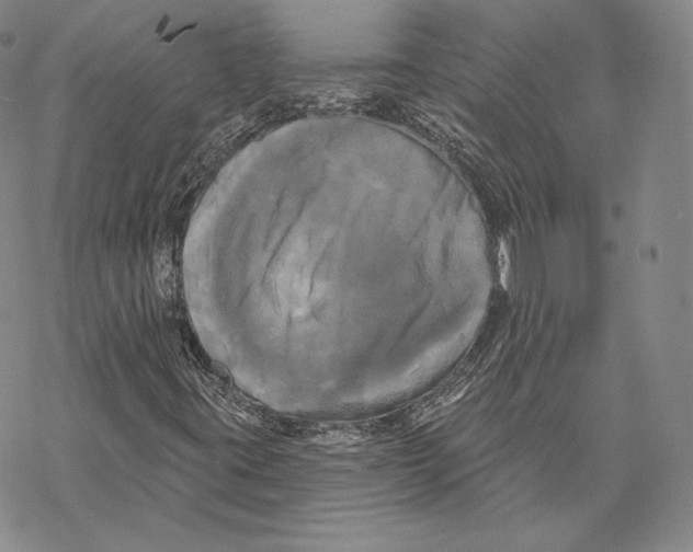 X0000068771395200605191636