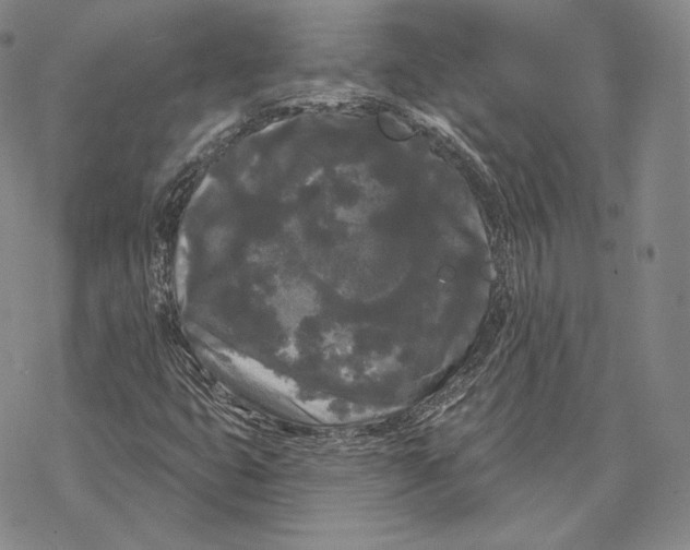 X0000068771399200605191636