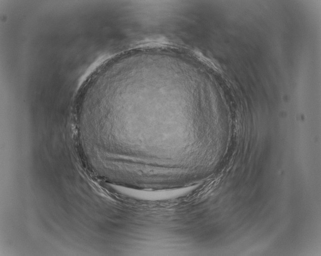 X0000068771400200605191636