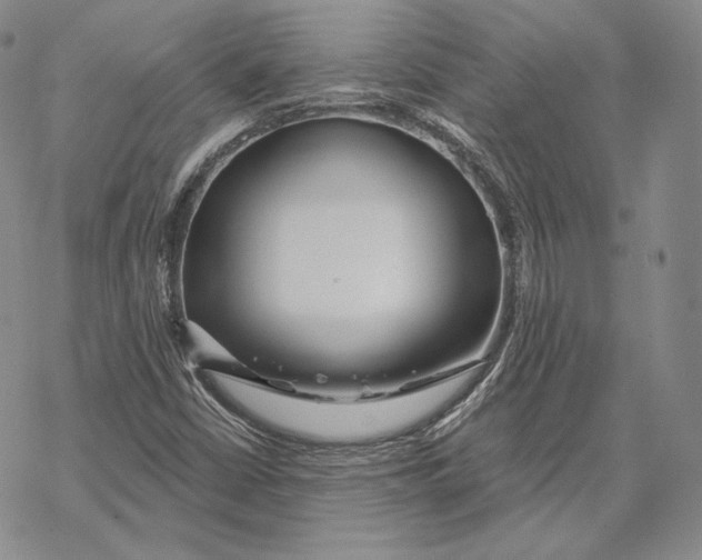 X0000068771402200605191637