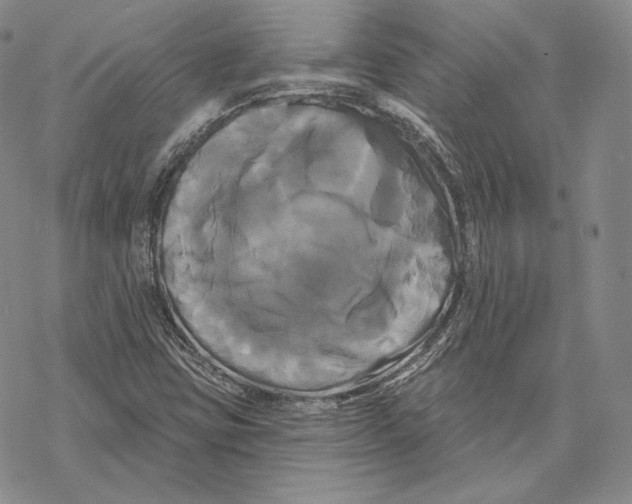 X0000068771403200605191637