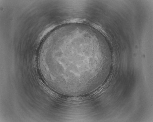 X0000068771404200605191637