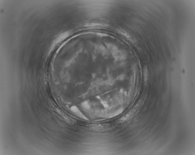 X0000068771405200605191637