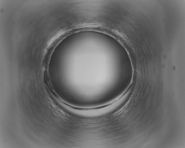 X0000068771406200605191637