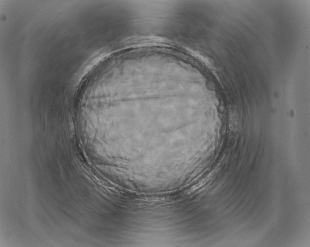 X0000068771407200605191637