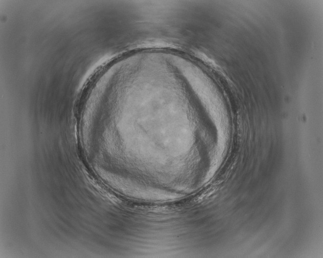 X0000068771408200605191637