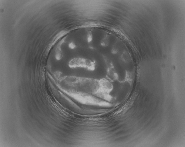 X0000068771409200605191637