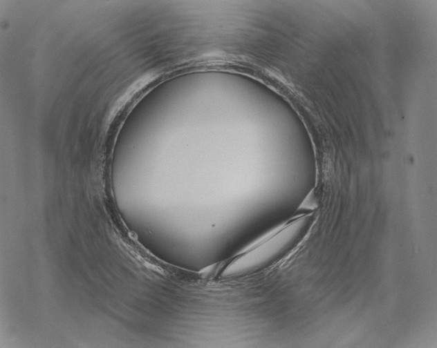 X0000068771410200605191637