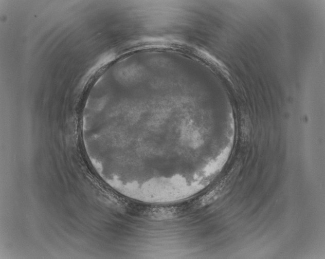 X0000068771411200605191637