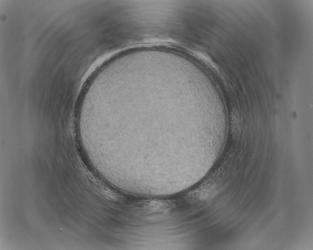 X0000068771412200605191637