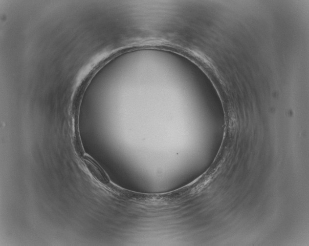 X0000068771414200605191637