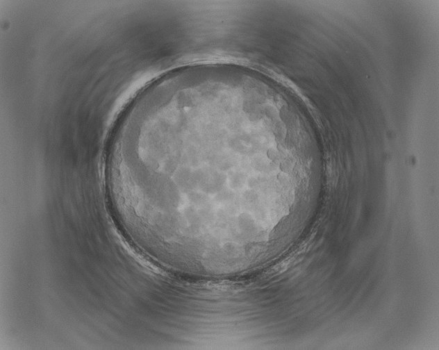 X0000068771416200605191637