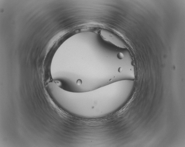 X0000068771418200605191637