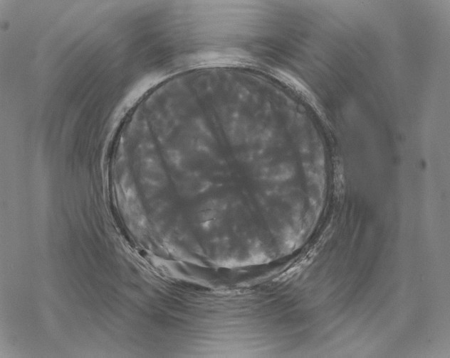 X0000068771419200605191637