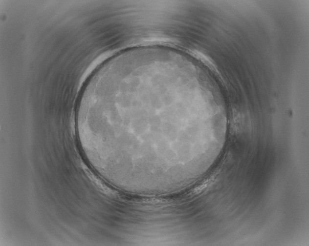 X0000068771420200605191637