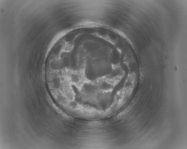 X0000068771421200605191637