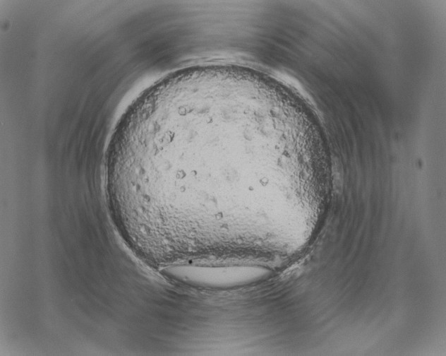 X0000068771424200605191637