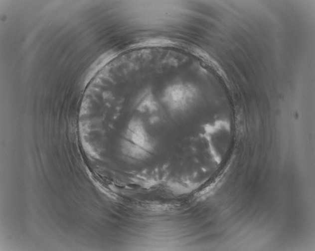 X0000068771425200605191637