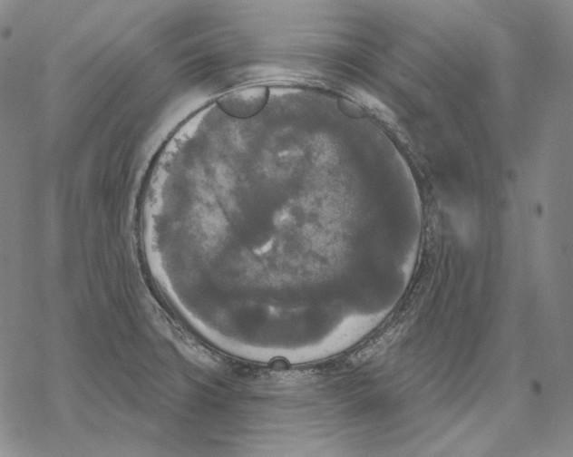 X0000068771427200605191637