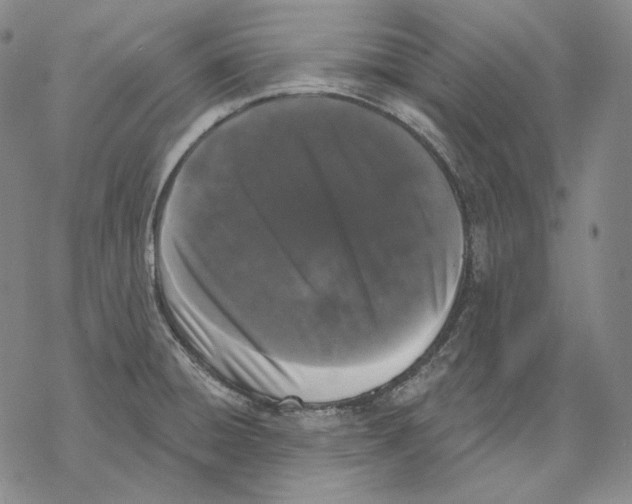 X0000068771428200605191637