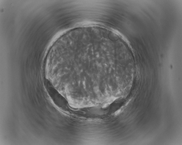 X0000068771429200605191637