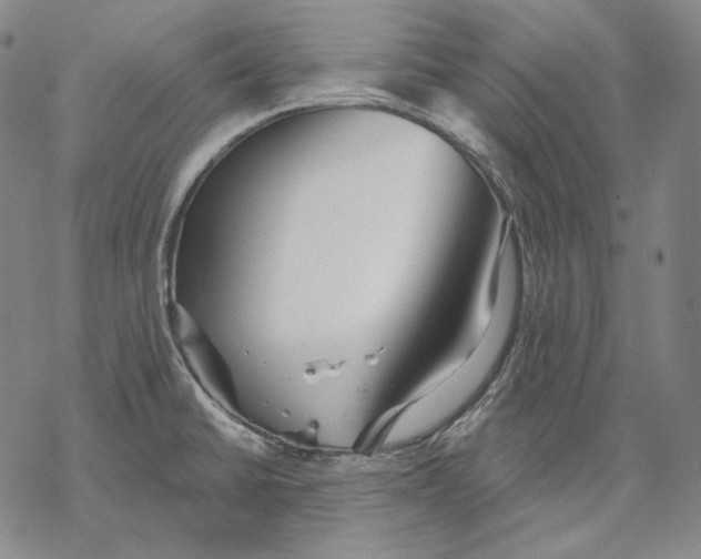 X0000068771430200605191637