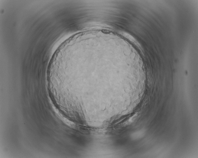 X0000068771431200605191637