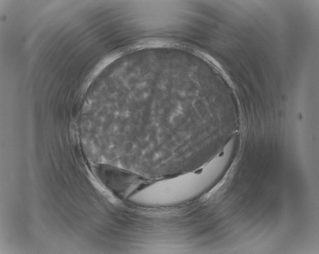 X0000068771433200605191637