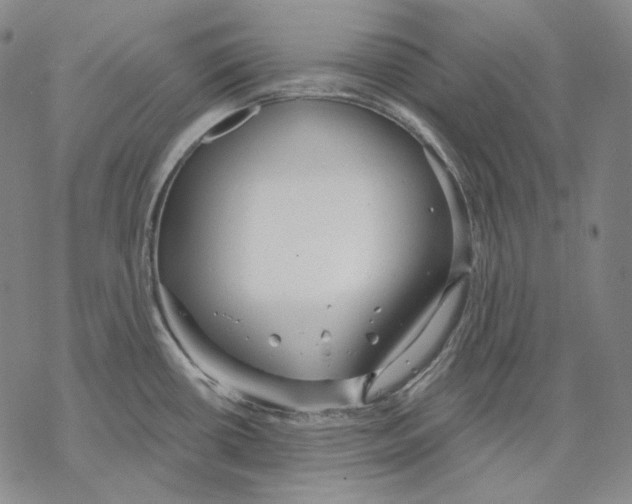 X0000068771434200605191637