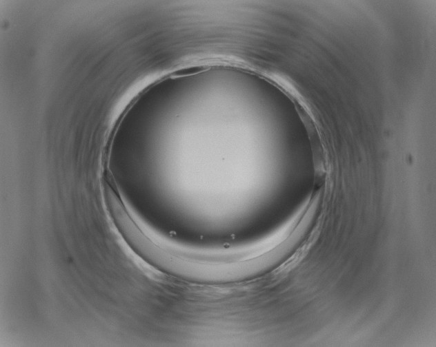 X0000068771438200605191637