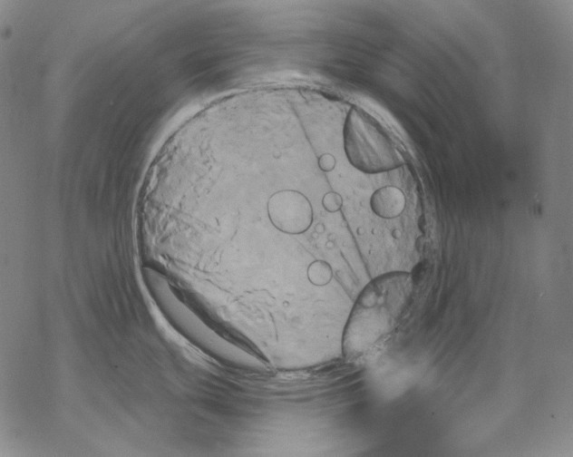 X0000068771439200605191637