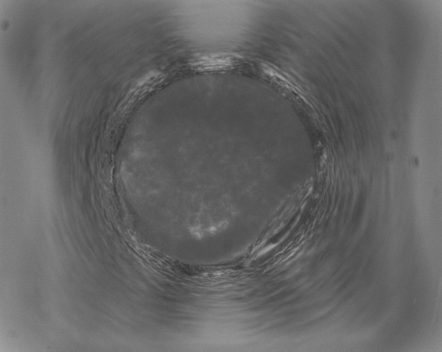 X0000068771441200605191636