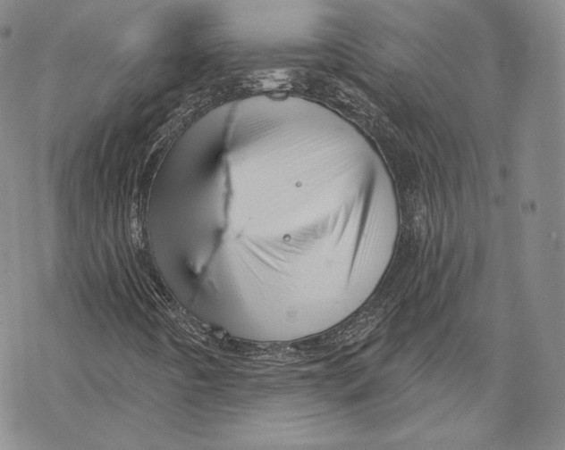 X0000068771442200605191636