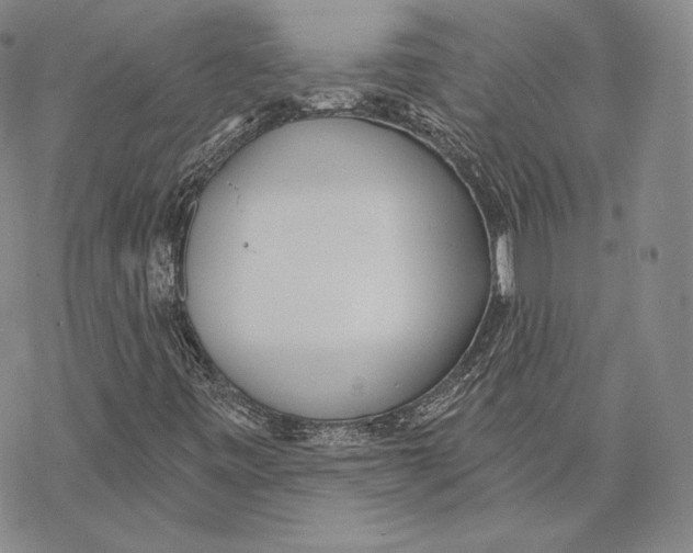 X0000068771443200605191636