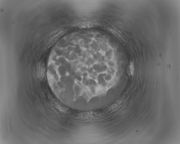 X0000068771444200605191636