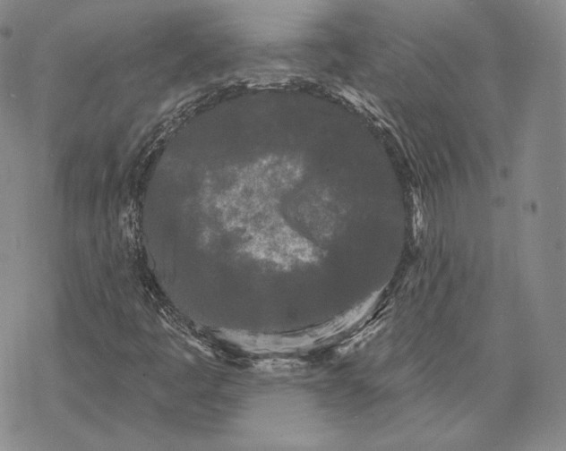 X0000068771445200605191636