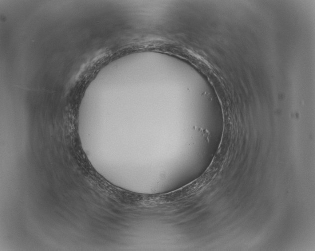 X0000068771447200605191636