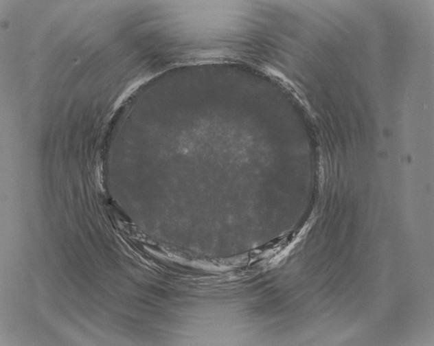 X0000068771449200605191636