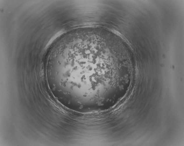 X0000068771450200605191636