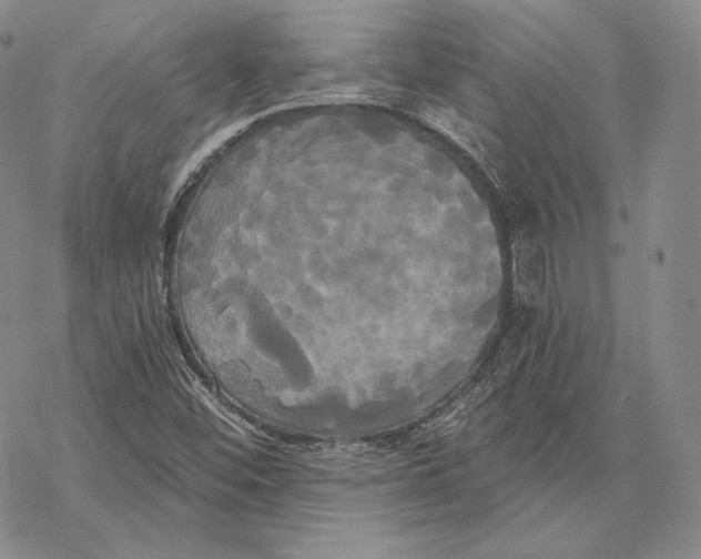 X0000068771452200605191636