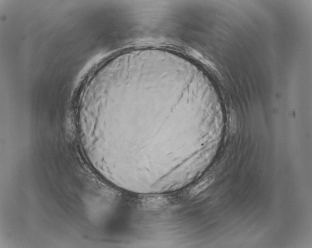 X0000068771454200605191636