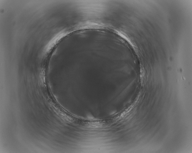 X0000068771455200605191636