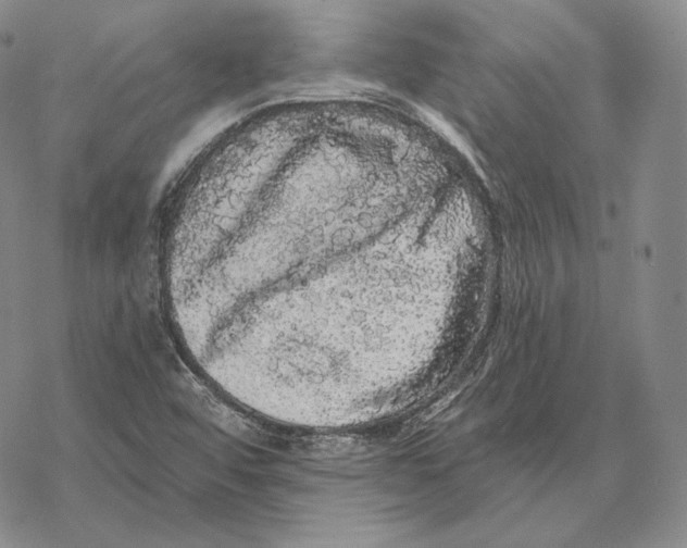 X0000068771456200605191636