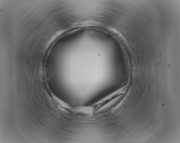 X0000068771457200605191636