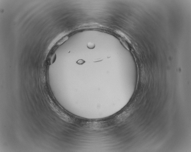 X0000068771458200605191636