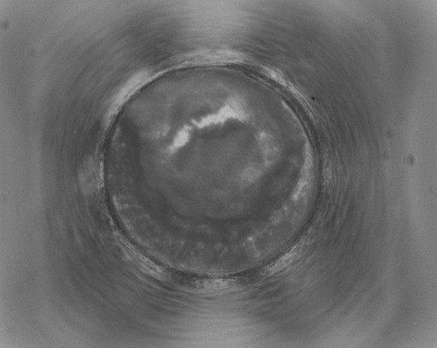 X0000068771459200605191636