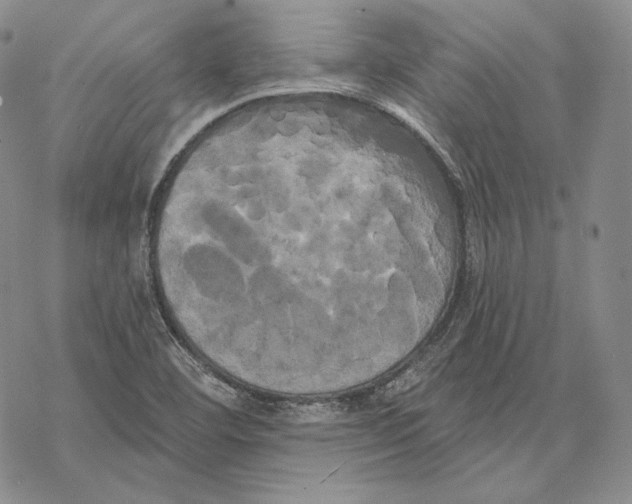 X0000068771460200605191636