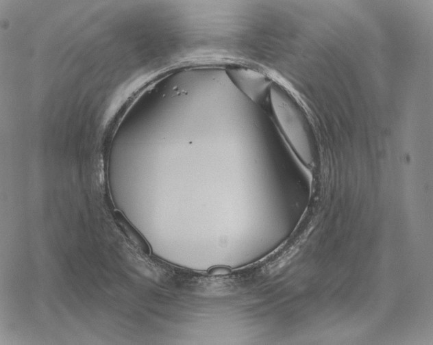 X0000068771461200605191636