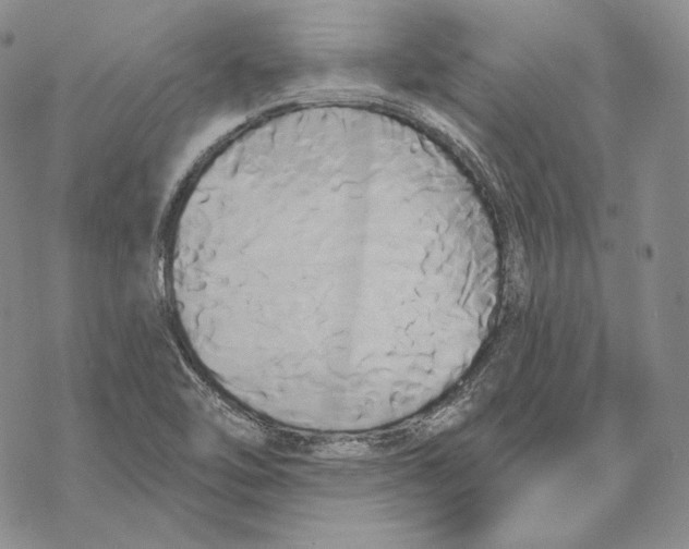 X0000068771462200605191636